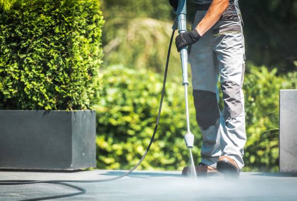 Best Rust Removal  in Livingston, TN